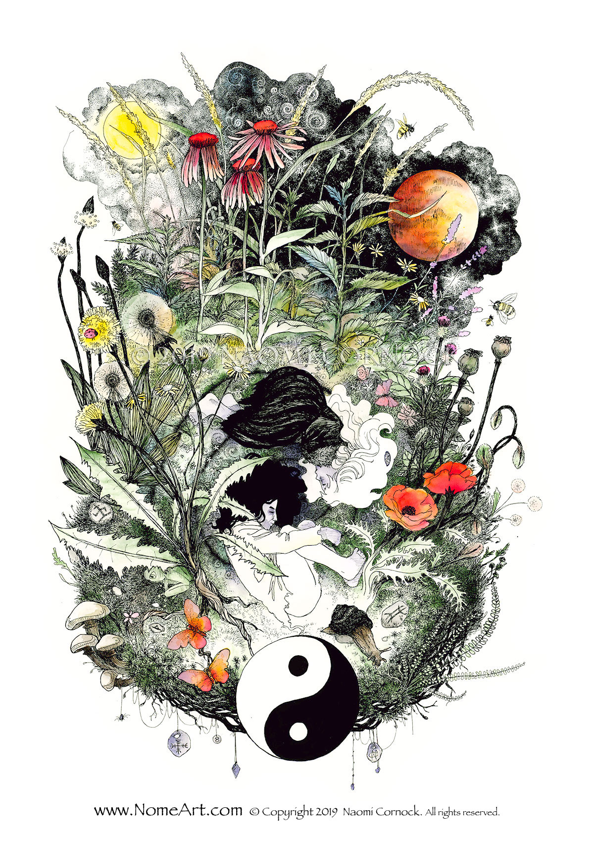 Healing Herbs by Naomi Cornock
