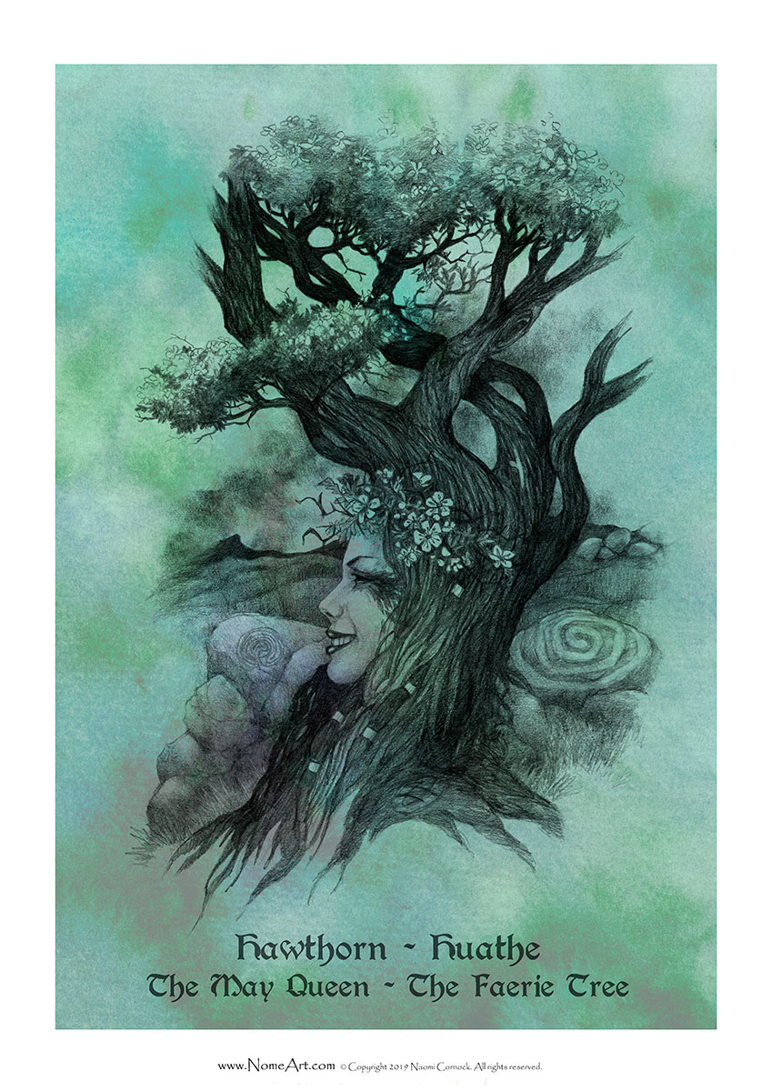Hawthorn Huathe: The May Queen, The Faerie Tree