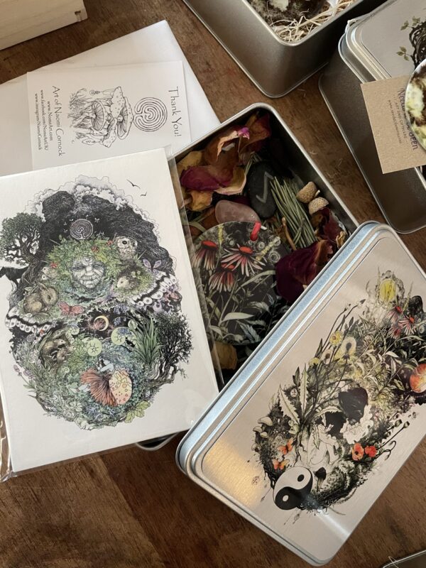 Healing Herbs Tin bundle